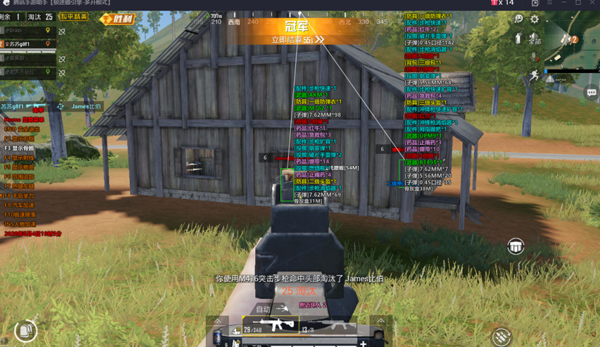 和平精英模拟器高清版辅助【雪貂】自瞄开关 全图透视 倒地不瞄 自动压枪